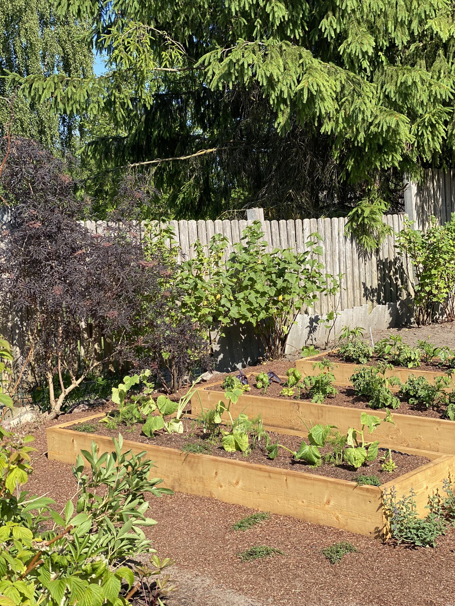 348366029_3528023464141755_3591059889169006680_n